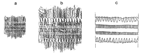 ill. 8